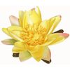 Lotusblüte aus Kunststoff