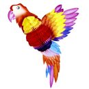 Wabenball Papagei fliegend