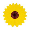 Dekofächer Sonnenblume 60cm, schwer entflammbar