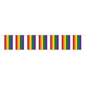 Papierfahnen-Kette 5m Regenbogen