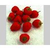 Erdbeeren aus Kunststoff 12 Stück