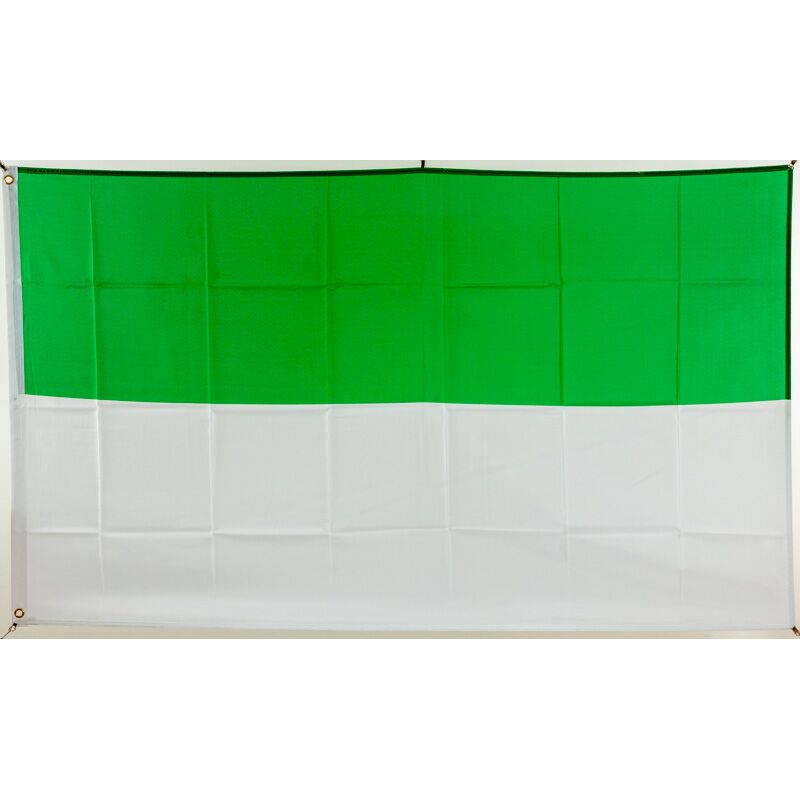 Flagge weiß Hissflagge 90 x 150 cm Fahne Schützenfest grün