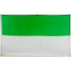 Flagge 90 x 150 : Schützenfest grün/weiß