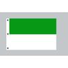 Riesen-Flagge: Schützenfest grün-weiß 150cm x 250cm